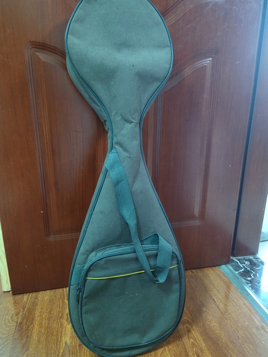 敦煌牌儿童琵琶,小孩学校开兴趣班时买来给她...