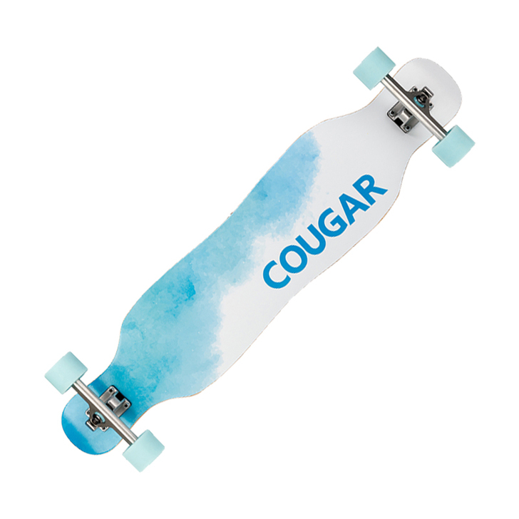 美洲狮初学者滑板长板成人男女生公路刷街舞板...