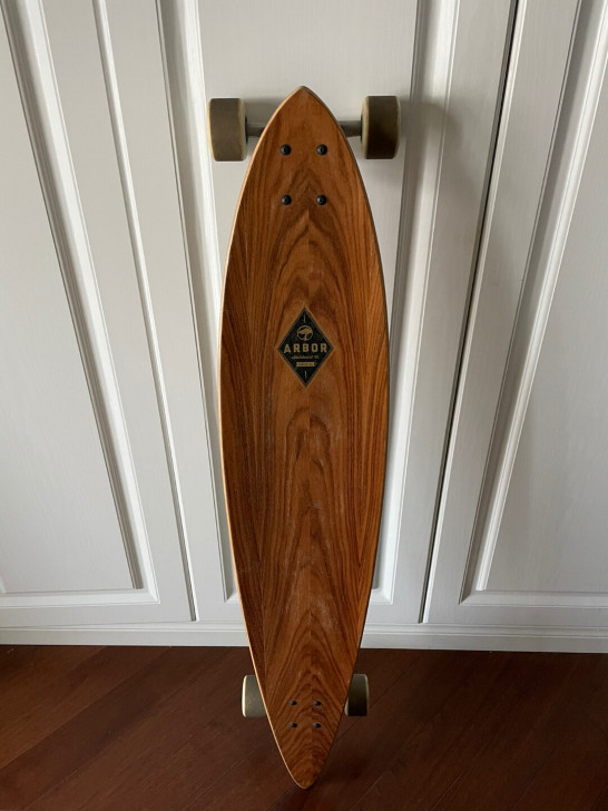 个人闲置 陆地冲浪板 ARBOR大鱼板 滑...
