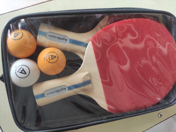 安格耐特乒乓球拍