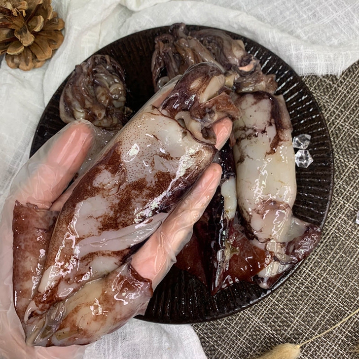 小号鱿鱼4斤40元，有货直接拍包邮到家。