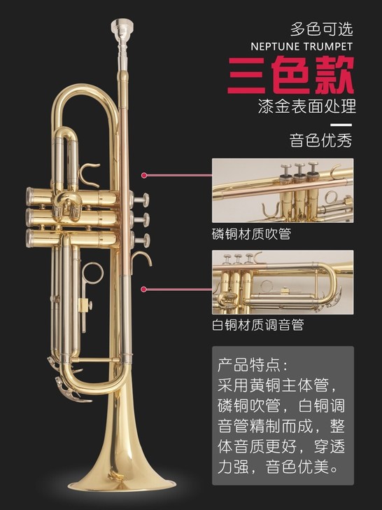 小号 乐器 降B调三音小号 初学演奏考级专...