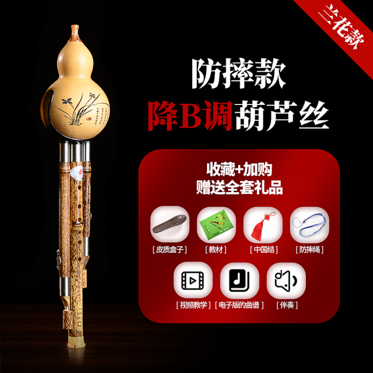 葫芦丝c调 降b调初学者小D调G调F调儿童...