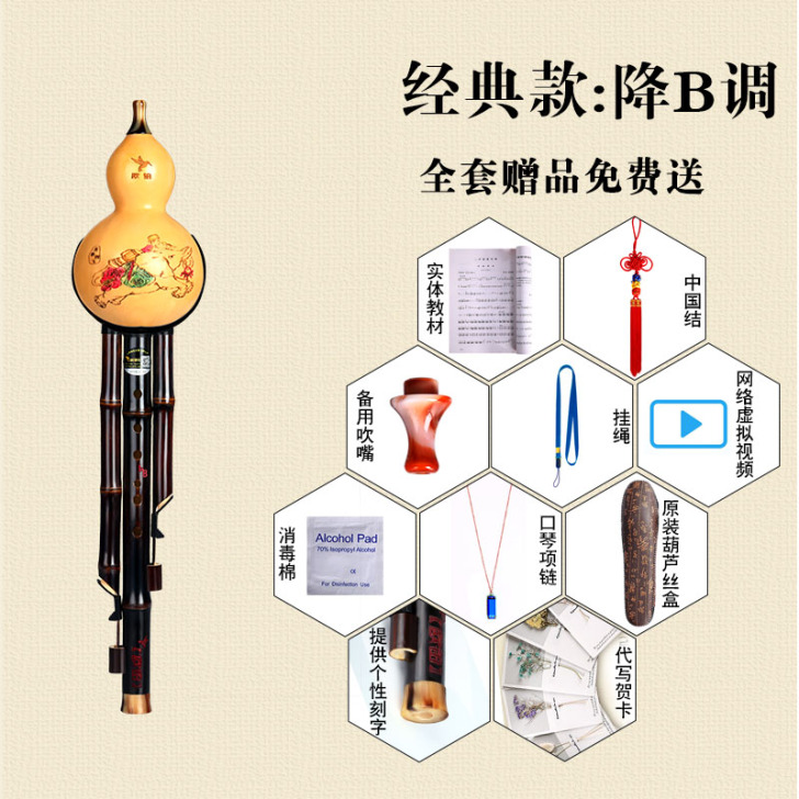 葫芦丝乐器初学c调降b调f专业演奏型乐器儿...