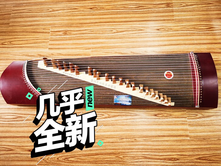 品牌型号 :儿童演奏筝