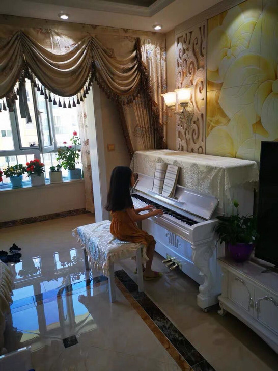 韩国英昌进口琴，疫情期间在家使用，之后回深...