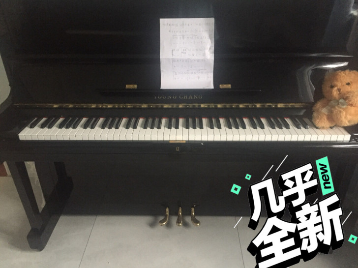 家庭闲置转让，保证原装进口，九五新，比雅马...