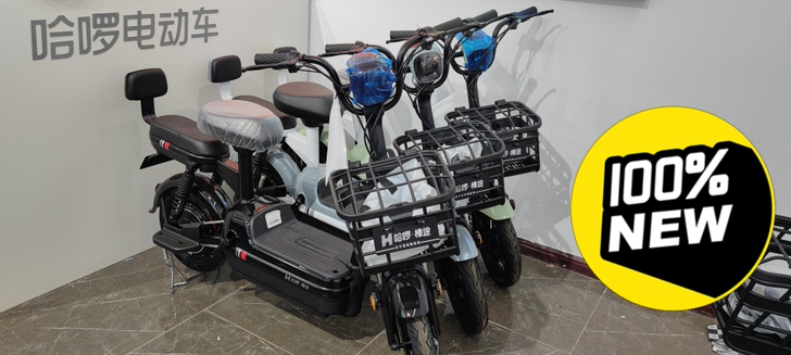 哈啰电动性价担当！4820哈啰原厂电池，续...