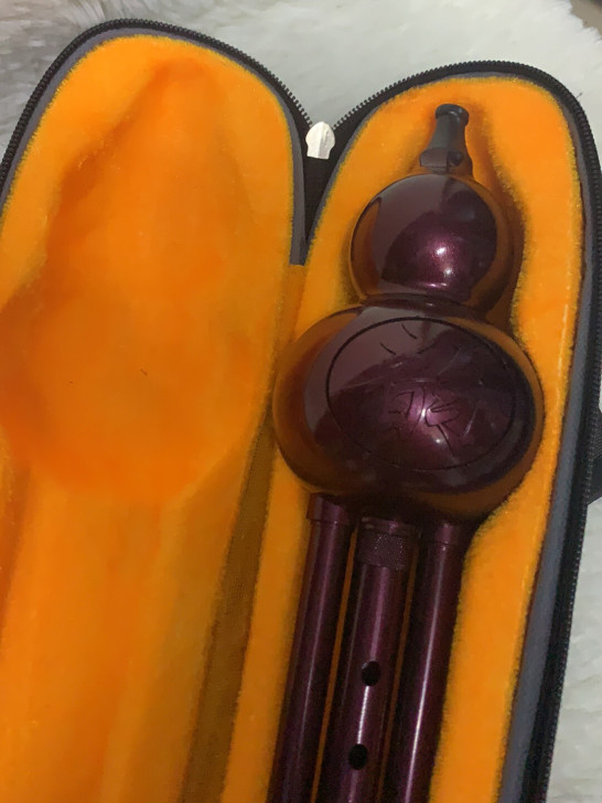 葫芦丝全新
