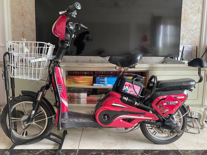 爱玛电动车 电动自行车 48V12A  至...