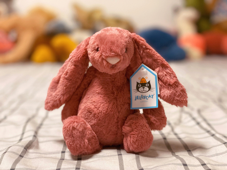 Jellycat绝版色脏粉色兔兔dusty...