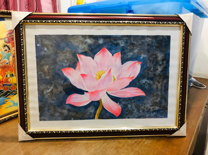荷花绘画作品
