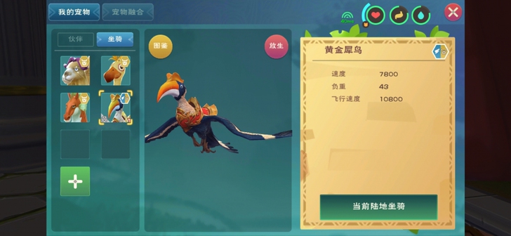 创造与魔法黄金犀鸟代肝.