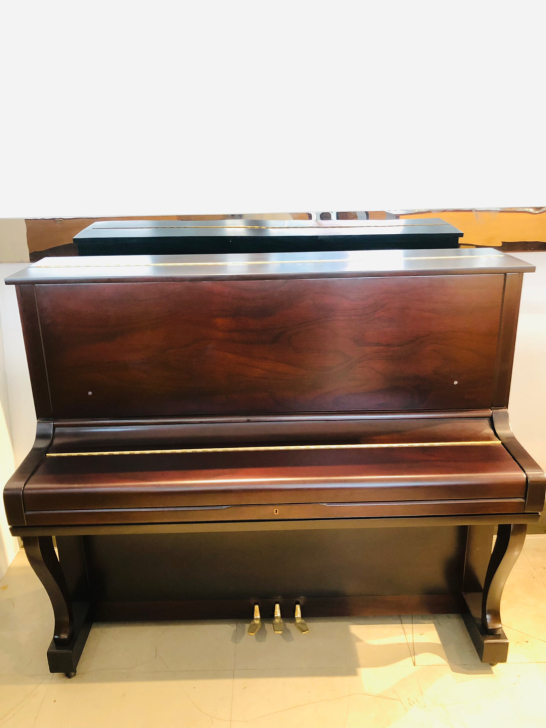 原装进口三益高端琴WG-9C  清仓价49...