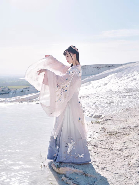 【十三余 小豆蔻儿】[千山鹭鸶] 广袖刺绣...