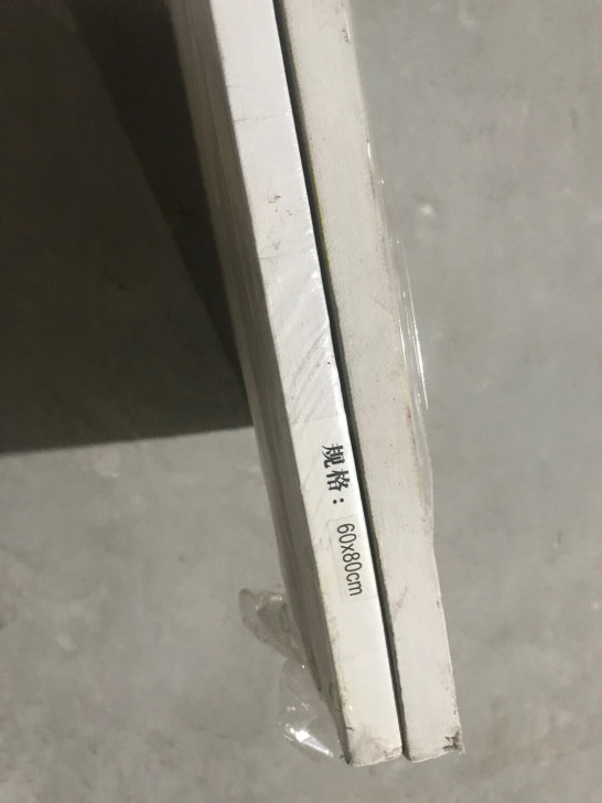 闲置2个油画布，100元2个，地址佛山市南...