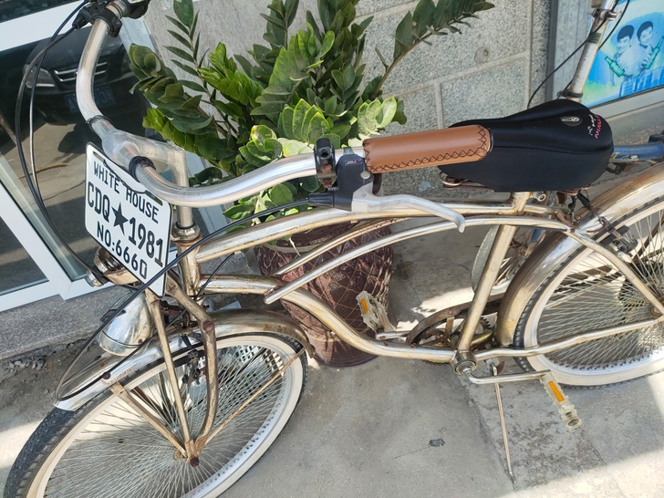 自提，自提自提！nomad欧美复古自行车，...