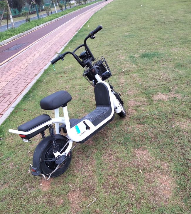 哈啰新大洲，48.14安锂电，带充电器，续...