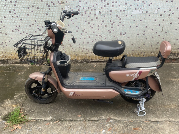 爱码电动车    48V12A     刚...