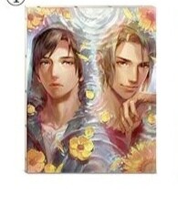 掌心NS套装里的油画布。