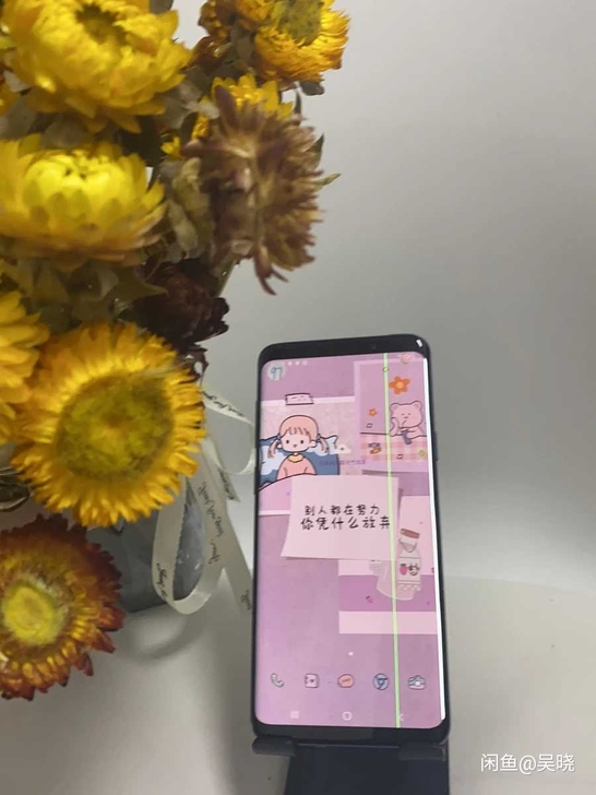 三星S9plus 三星S9plus国行系统...