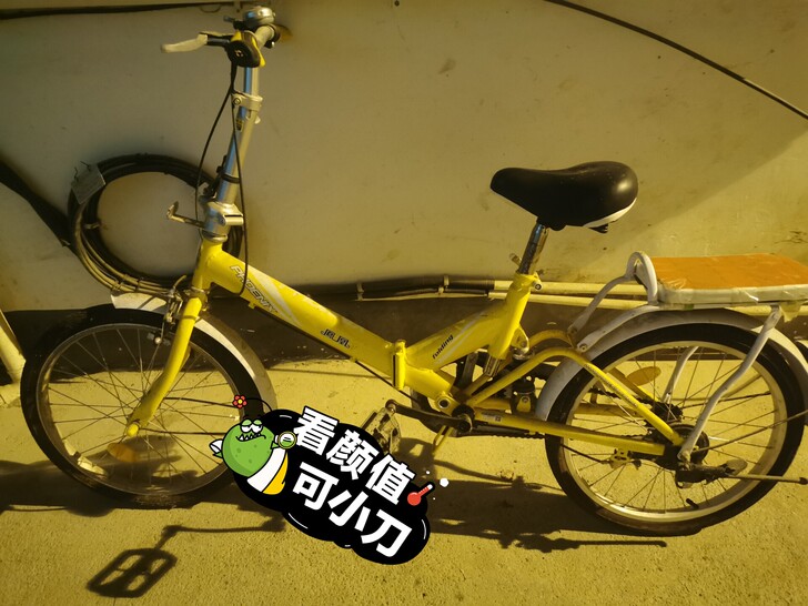 凤凰自行车~因为买了电动车，闲置在家转手