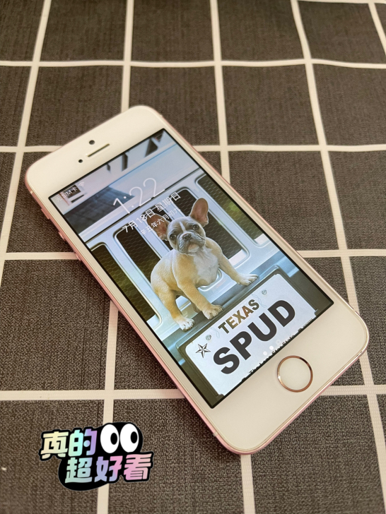 iPhone se 苹果se 64g 无锁...