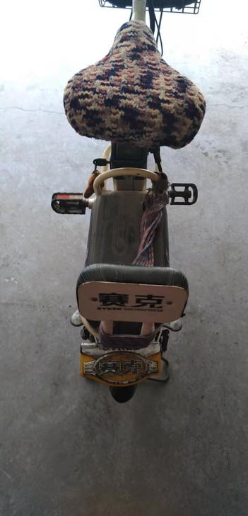 应该是48伏的电动车，至少两年没骑，充电器...