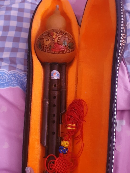 闲置葫芦丝，买来不会吹，降b调.不墨迹拿走...