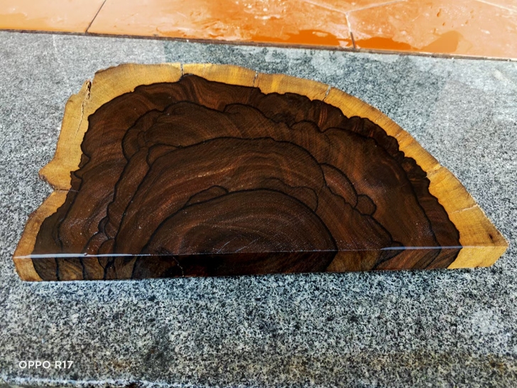 526黑柿木花纹料75元