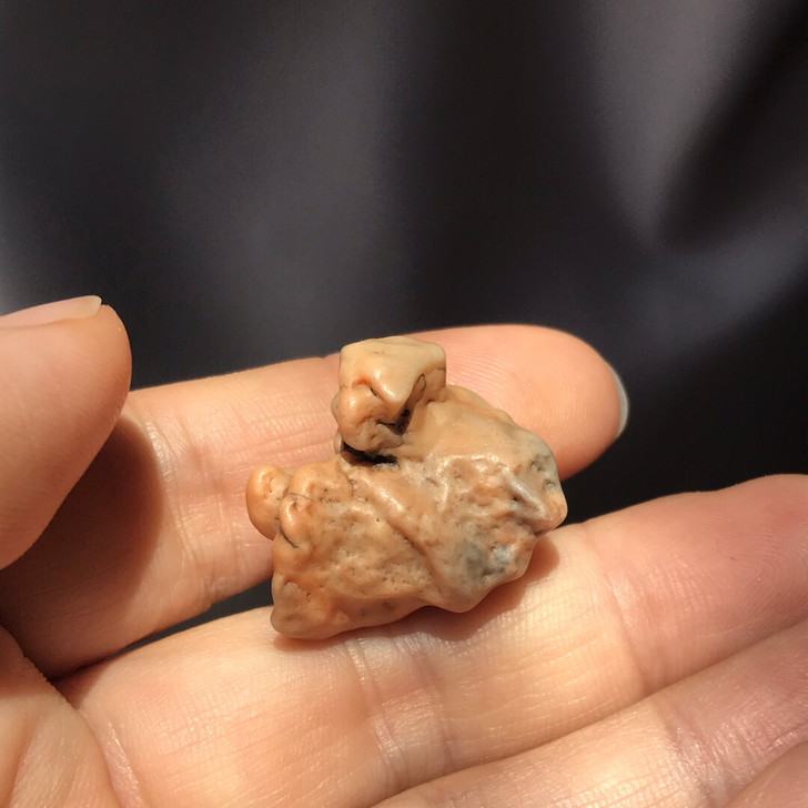 戈壁石 玛瑙 象形石 动物 奇石