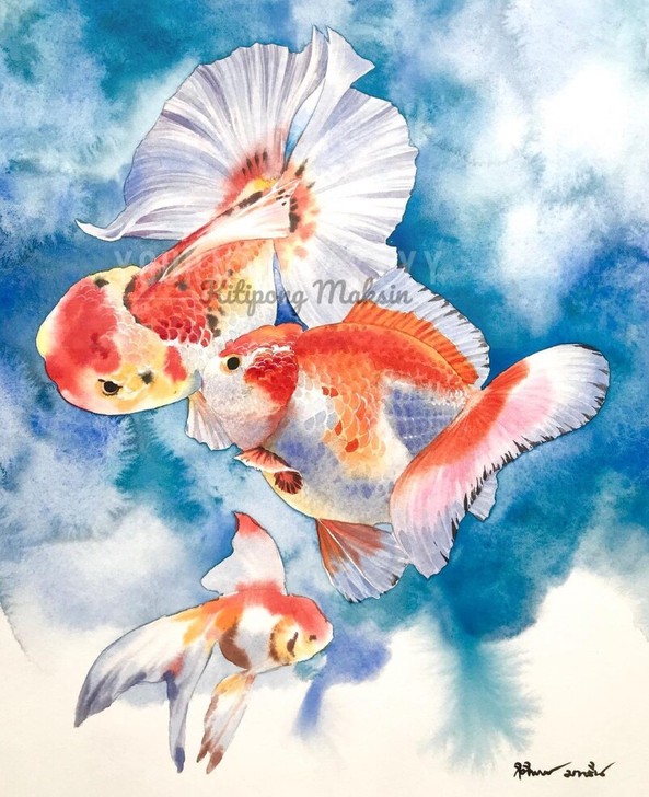 水彩插画 唯美手绘 绘画素材 临摹素材...