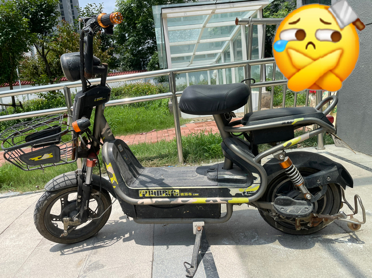 二手速派奇电动车 有原装充电器