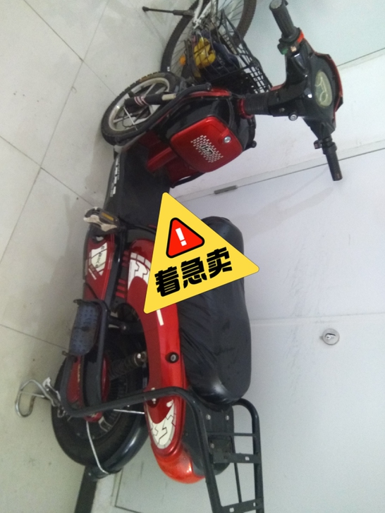 小刀牌48V电动车有冲电器和车牌，带电池，...