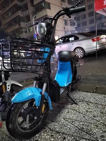 绿源1280，新大洲960。绿源电动车，绿...