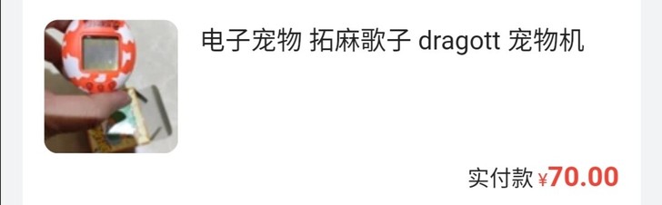 电子宠物养恐龙