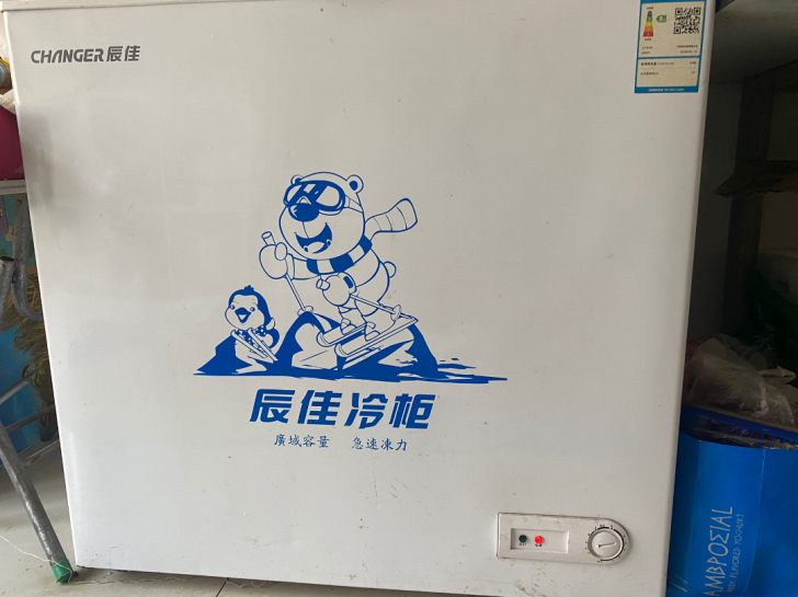 175升冰柜,正常使用