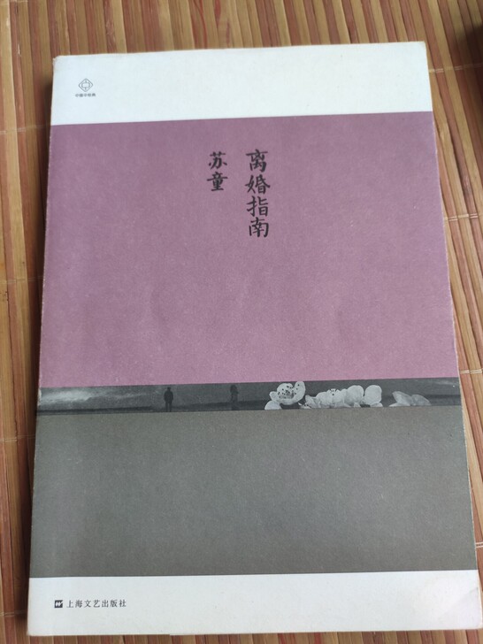 《离婚指南》苏童