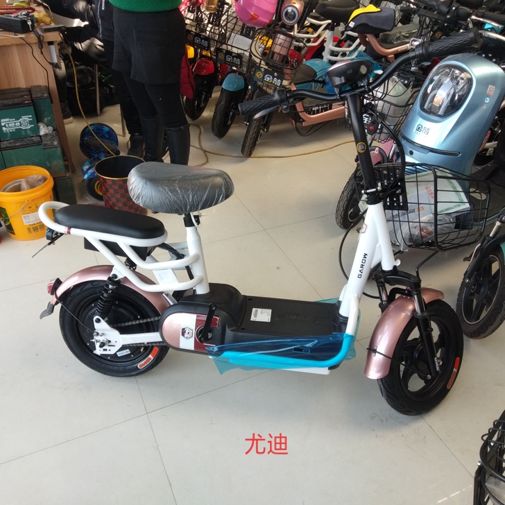 新日，金箭，赛鸽电动车，新国标可下户，低至...