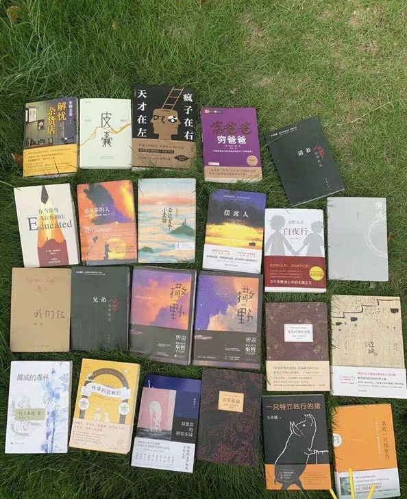 东野圭吾 刘慈欣  村上春树  三毛  大...