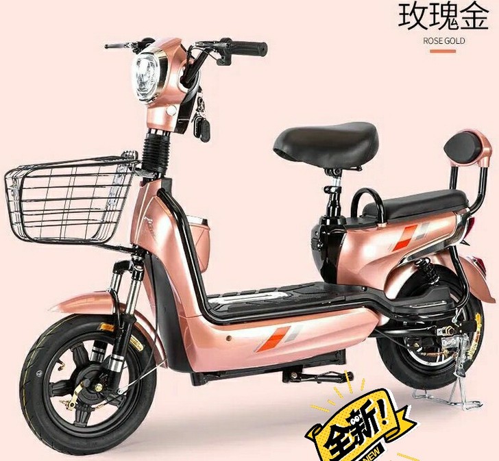#节后鱼生#全新 实体店急售一批全新两轮女...