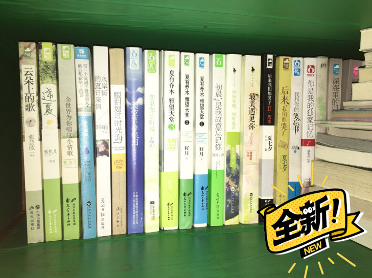 青春文学 言情校园都市爱情小说 10元一本...