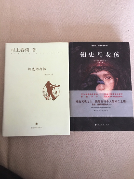 挪威的森林+知更鸟女孩，两本九层新