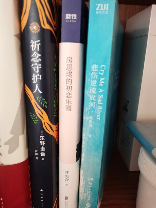 出书，东野圭吾祈念守护人，房思琪的初念乐园...