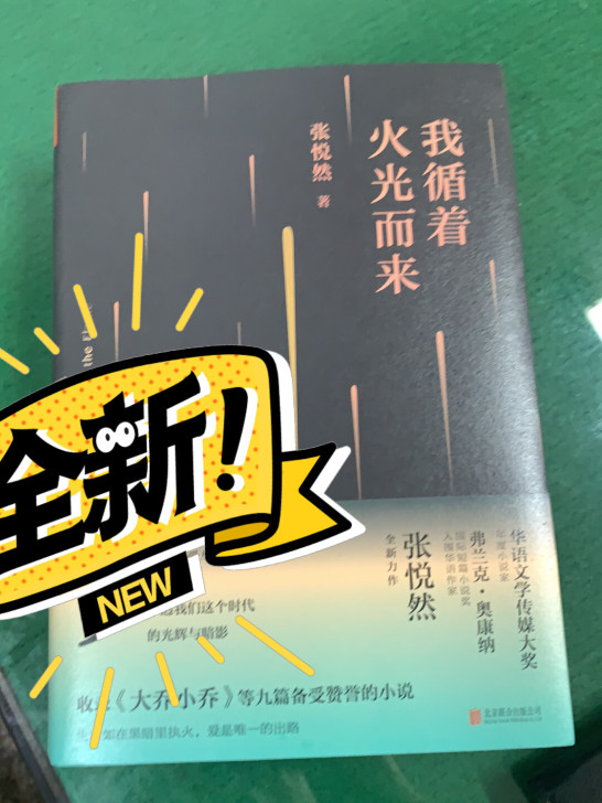 《我循着火光而来》
