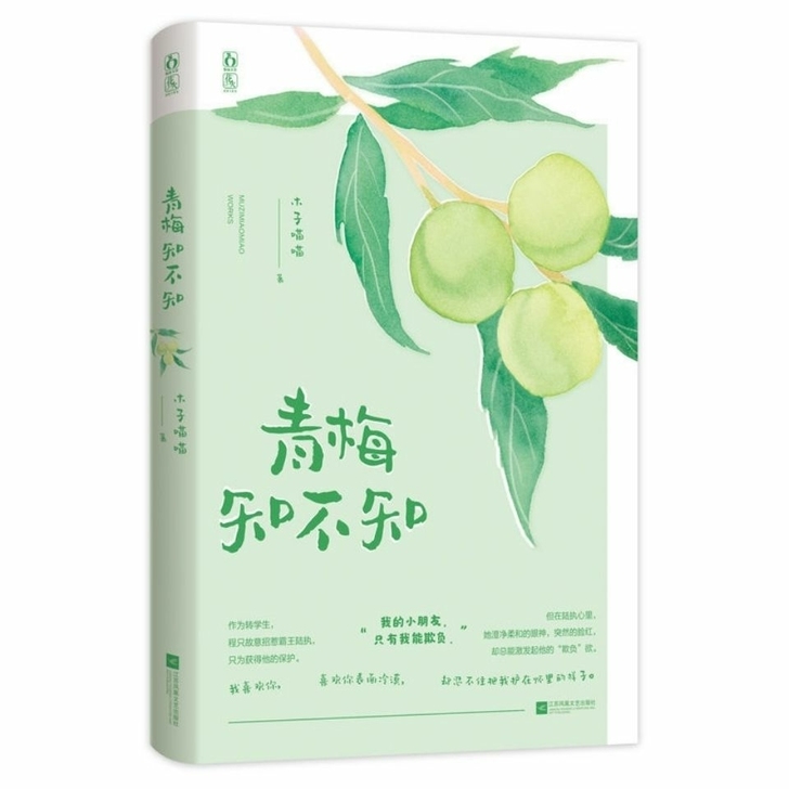 青梅知不知 木子喵喵作品 青春校园言情小说