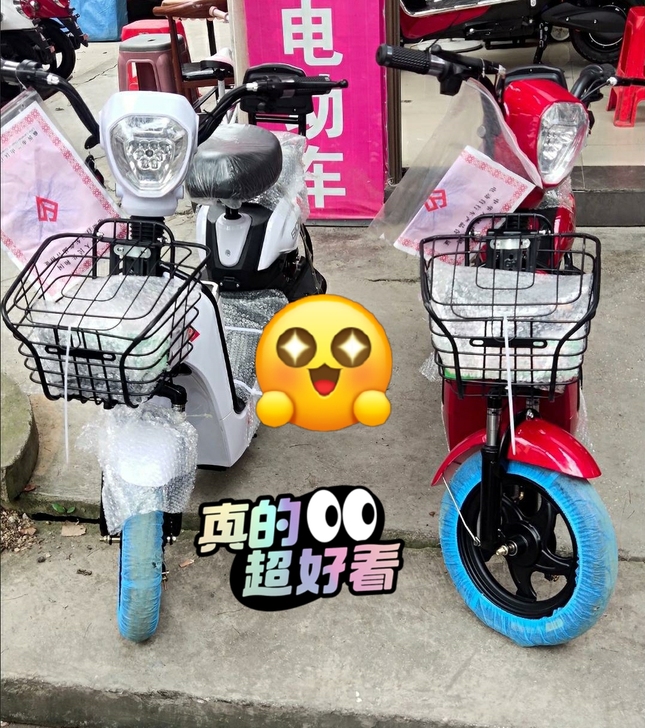全新 实体店急售一批全新两轮电瓶车家用爱玛...