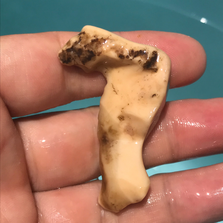 彩玉 雕刻料 玉化 戈壁石 彩石 奇石 盆...