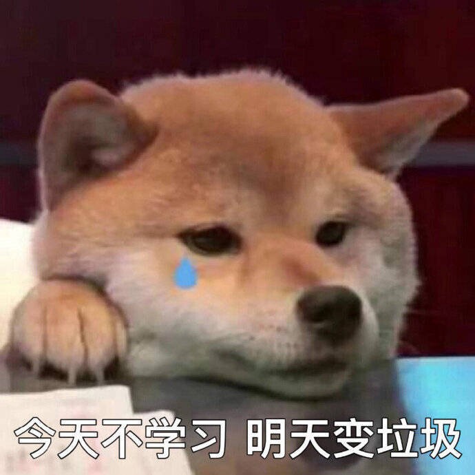 武理 MPAcc 会计专硕 复试总结 用不...