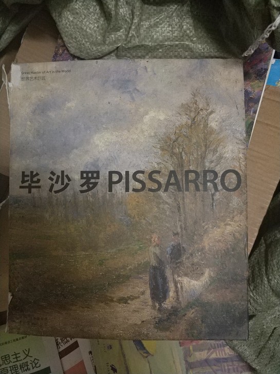 毕沙罗